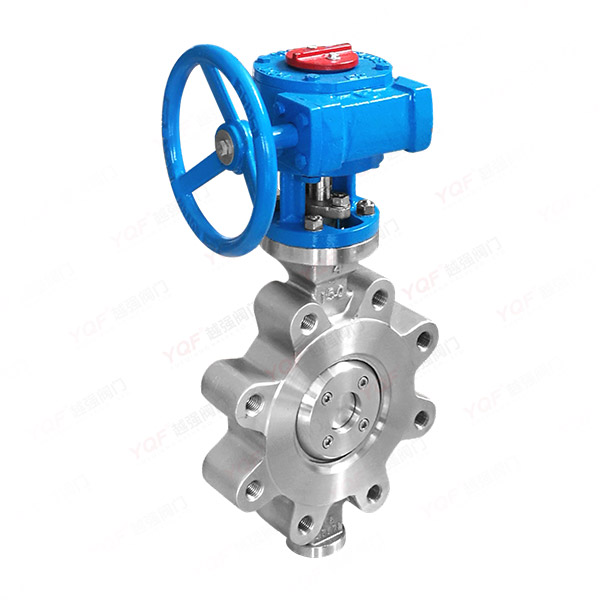 Worm gear clamp butterfly valve