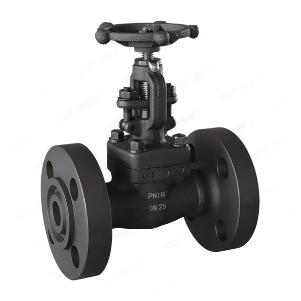 Forged steel flange globe valve