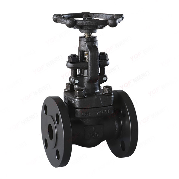 Forged steel flange globe valve