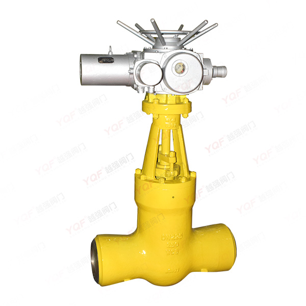 Power station gate valve